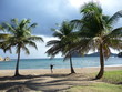 plage Anse Figuier