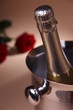 Champagne