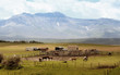 Farm mit Pferdekoppel in der Wildnis Kanadas Farm mit Pferdekoppel in der Wildnis Kanadas