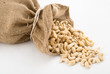 Cashew