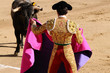 Matador & Bull