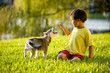 Young Asian boy playing with puppy on grass Young Asian boy playing with puppy on grass