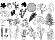 Plantes
