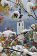 Winter Vorboten