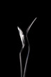 spoon and fork