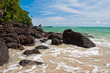 Rocky coastline and beach jungle near the sea Rocky coastline and beach jungle near the sea