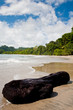 Piece of wood on the tropical beach Piece of wood on the tropical beach
