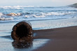 Piece of wood on the tropical beach Piece of wood on the tropical beach