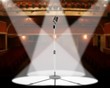 Concert spotlight