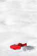 Present in the snow