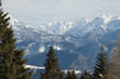 Snowcapped mountains and trees