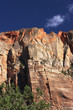 Zion mountain