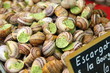 Escargots persillade