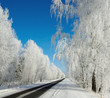 Winter road on a sunny frosty day