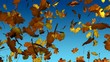 fallende blätter, herbst