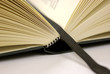Buch, Roman Buch, Roman
