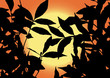 Leaves contour vector illustration Leaves contour vector illustration