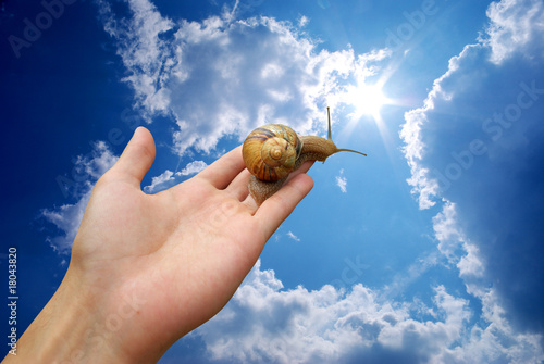 Photo: Snail life Snail life