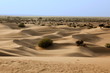in thar desert near jaisalmer in thar desert near jaisalmer
