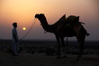 in thar desert near jaisalmer