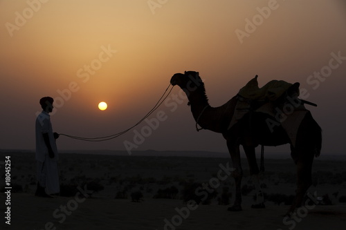 Foto: in thar desert near jaisalmer in thar desert near jaisalmer