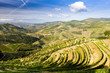 vineyars in Douro Valley, Portugal