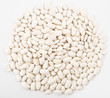 White beans
