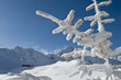 winterliche Gebirgsszene in den Südkarpaten
