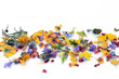 Scattered Flowers and Herbs