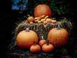 Pumpkins on a hay bale at dusk