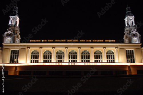 Palais de pau