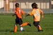 Co-Ed Soccer