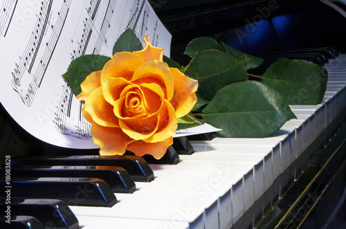 Photo: rose on musical note rose on musical note