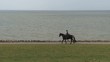 Video: Reiter Küste Meer Horizont Reiter Küste Meer Horizont