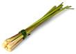 citronnelle herbe aromatique fond blanc