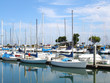 Sailboats at California marina