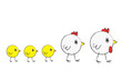 famille de poule