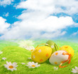 Colorful Easter Eggs Colorful Easter Eggs