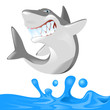 shark