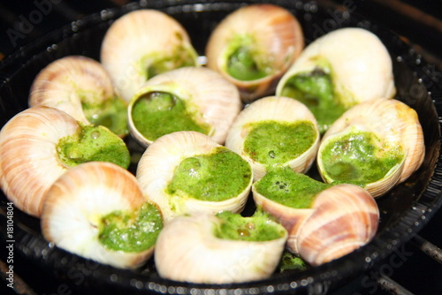 Escargots en train de cuire
