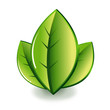 symbole feuilles