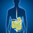Magen, Darm, Magenmedizin, Untersuchung Magen, Darm, Magenmedizin, Untersuchung