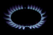 Blue flames of a gas stove