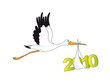 cigogne 2010-6