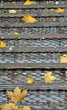 marches d'escalier