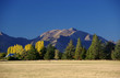 Mountains and yellow trees