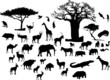 African animals