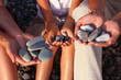 pebbles in family with girl hands