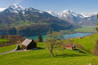 Alpine landscape in spring (Walensee, Switzerland)