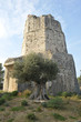 Tour Magne Nimes